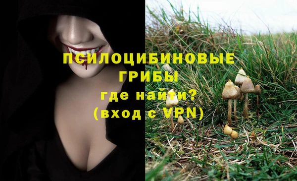 MDMA Premium VHQ Нязепетровск