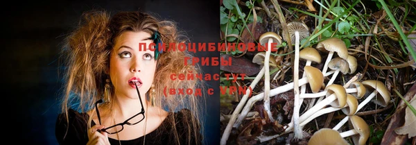 марки nbome Няндома