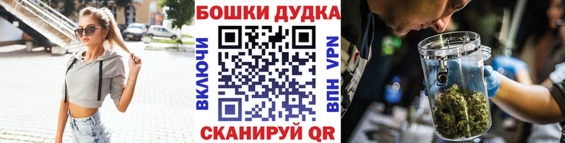 Каннабис план  Тайга 